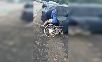 Посетители парка спасли собаку, запертую в раскаленной машине
