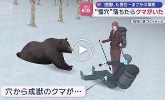 Японец провалился в берлогу к медведю и выжил