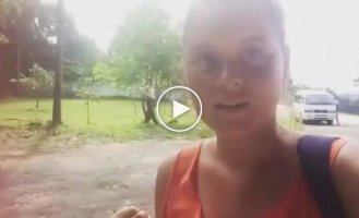Обезьяна набросилась на туристку, которая хотела сделать с ней селфи