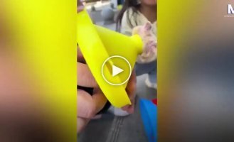 Хомяк застрял в игрушке