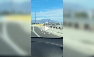 Необычный рисунок в Палм-Дезерт