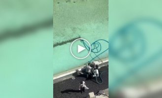 В итальянском фонтане Треви туристы ежегодно бросают в воду около 1,5 миллионов евро мелочью