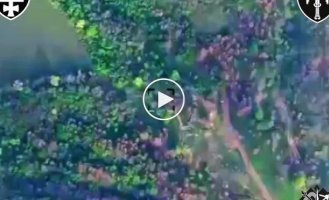 Воїни 53-го ОМБр знищили самохідну артилерійську установку Півонія на Лиманському напрямку