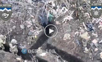Підбірка відео з полоненими та вбитими в Україні. Випуск 56