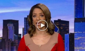 Женщина украла яйца из гнезда диких гусей