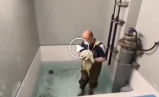 Детеныш тюленя впервые увидел воду