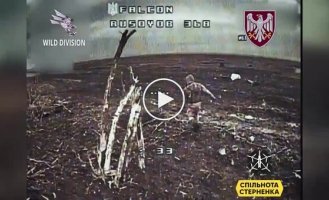 A kamikaze drone eliminated a disarmed Russian soldier in the middle of a field