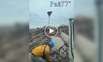 Парень бросил камень в дорожный знак, облепленный пчелами