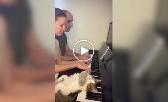 Animals (short videos). Release 87