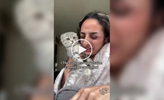 Кошкам тоже приходится несладко