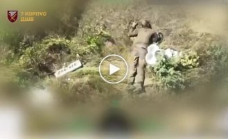 Ukrainian paratroopers protect Pokrovsk from a Russian sabotage and destroy occupiers