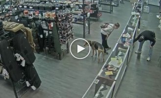 Бездомна спробувала викрасти пістолет зі збройової крамниці