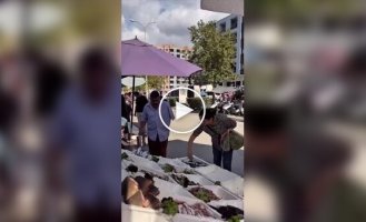 Злодії великі і маленькі