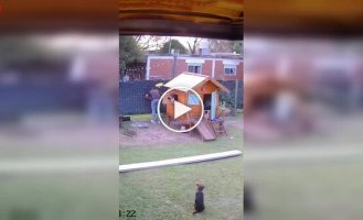 План был хорош, но исполнение подвело