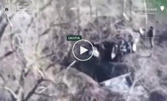 Сили оборони знищили 3 пункти пілотування БПЛА противника та знешкодили 9 окупантів на Вовчанському напрямку
