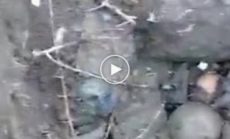Підбірка відео з полоненими та вбитими в Україні. Випуск 46