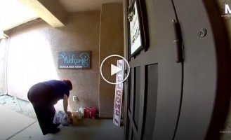 Курьер станцевала за чаевые