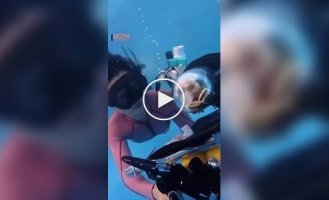 Дайвинг для домашних животных в Китае