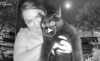 Funny reaction of a cat to a “talking” video intercom