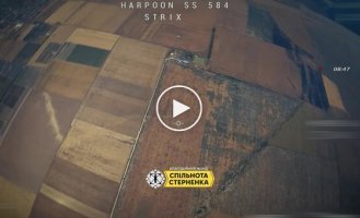 Три новітні ворожі ударні БПЛА Чорниця-2 збили зенітними дронами українські воїни