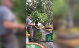 Canadian bonsai enthusiast grew his own mini-forest
