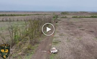 Outskirts of the village of Andreevka, Donetsk region: A field strewn with shell craters