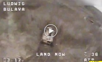 Soldiers of the Bulava strike unit destroyed the MTLB occupiers' Wild Hornets with an FPV drone