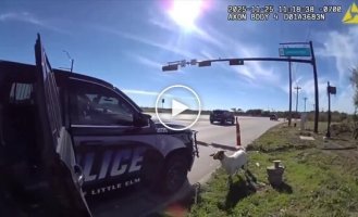 Полицейский «задержал» сбежавшего козла в Техасе