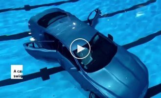 Во Франции машина протаранила стеклянную стену и упала в бассейн