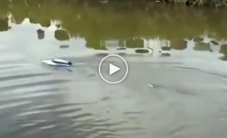 How to catch fish with a toy boat