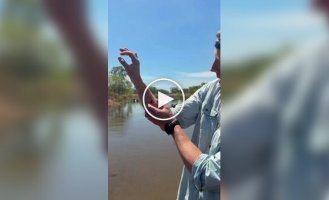 Телеведущий показал раны после укуса крокодила