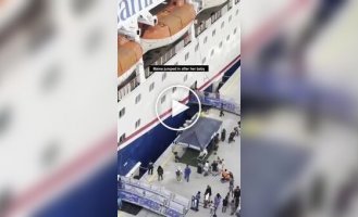 Во Флориде мать спасла четырехлетнюю дочь, упавшую между круизным лайнером и пирсом