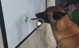 Талантливая собака рисует картины