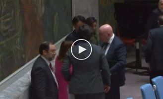 What a useless organization: briefly about the UN meeting