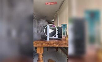 An oddball heated up a battery in a microwave oven