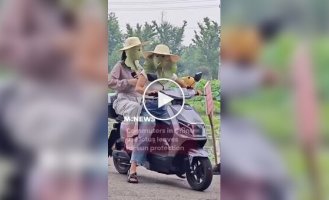 Китайцы нашли нестандартный способ защитить лицо от солнца