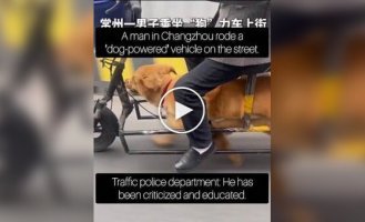 Пожилой мужчина использовал питомца для езды на электровелосипеде