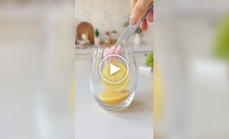 Забавная форма для льда