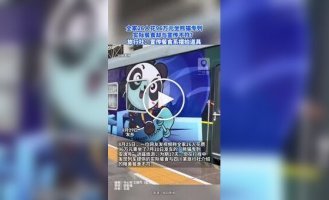 Китайская семья потратила большую сумму денег на роскошный поезд в стиле панды и осталась разочарована