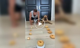 Fun donut competition