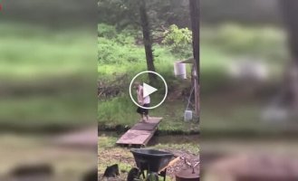 Алкоголь и чувство равновесия не договорились