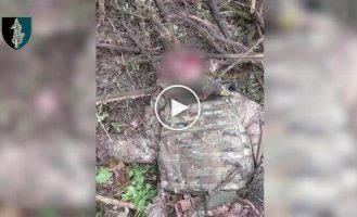Силы спецопераций уничтожили на Курщине группу российских морпехов, еще двое оккупантов сдались в плен