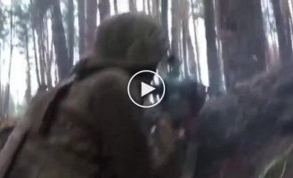 Shooting battle in Serebryansky forest, Lugansk region from the first person of a Ukrainian military man