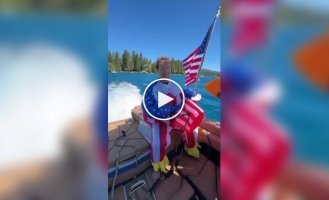 Цукерберг прокатился на серфе в костюме орлана на День независимости США