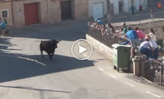 An angry bull ran up to the car in which there were people and began to destroy it