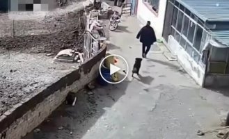 Не растерялся