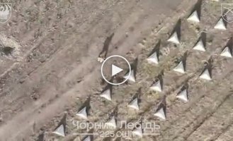 Уничтожение российского пехотинца между зубами дракона в Белгородской области