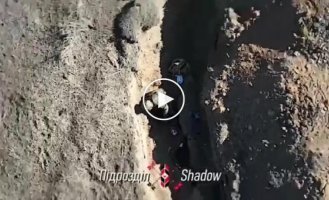 The Russian occupier gets grenade after grenade dropped into his trench.