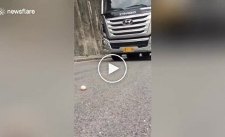 The driver showed a master class on driving a truck using an egg as an example