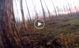 Footage of battles in the Kremensky forest from the first person of the Ukrainian military